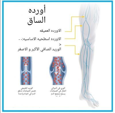 WhatsApp Image 2021-12-21 at 2.48.02 PM WhatsApp Image 2021 12 21 at 2.48.02 PM
